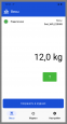 Платформенные весы МАССА-К 4D-PMF-15/12-2000-A(RUEW)