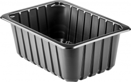 Пластиковый контейнер под запайку ГЕОРГ ПОЛИМЕР 210x148x81 (350 шт)